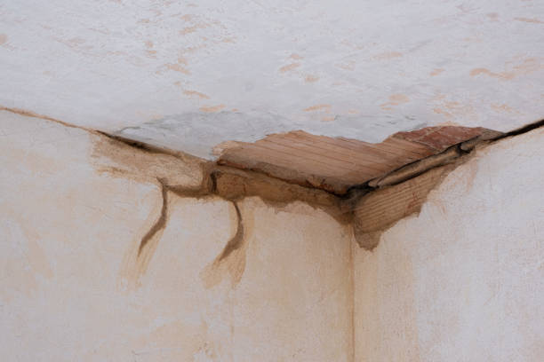Best Water damage contractors near me  in Stroudsburg, PA