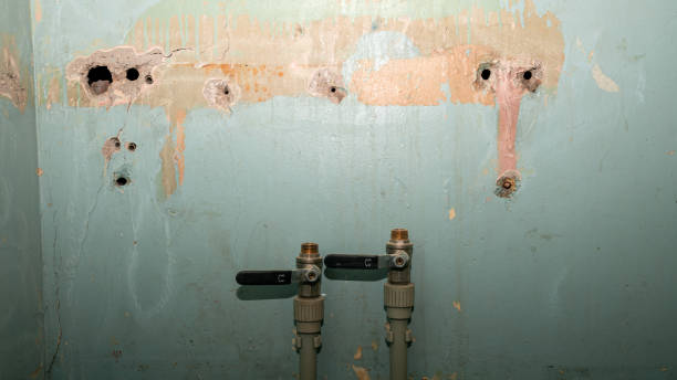 Best Professional water damage repair  in Stroudsburg, PA