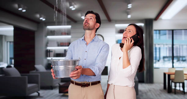 Best Water damage contractors near me  in Stroudsburg, PA